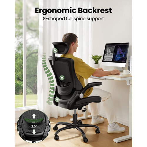 Inbox Zero Ergonomic Task Chair with Headrest & Reviews Wayfair